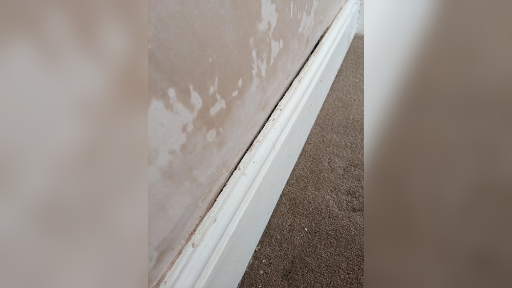How to Fix Gap between Wall And Skirting Board Easily