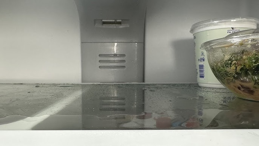 Why is My Fridge Leaking Water Inside Bottom Shelf