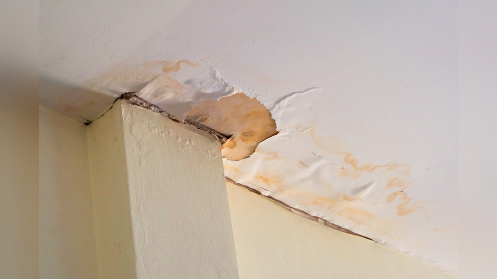 Why is My Wall Damp in One Spot near Floor Only